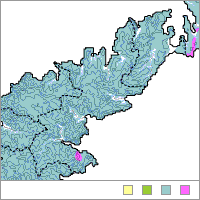 奄美市(あまみし)の地層